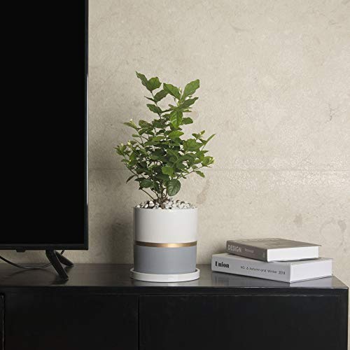 Ekirlin 6 inch Plant Pot - Ceramic Flower Planters Indoor - Modern...