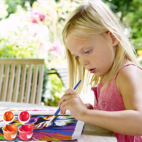 Elftoyer Paint by Numbers for Kids & Adults & Beginner , DIY Canva...