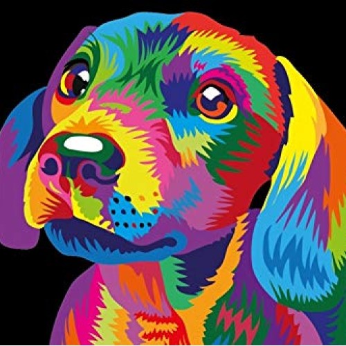 Elftoyer Paint by Numbers for Kids & Adults & Beginner , DIY Canva...