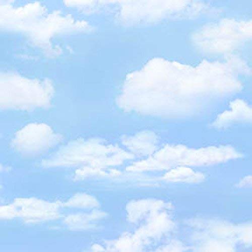Light Blue Sky, Billowy Clouds, Landscape, Elizabeths Studios, 369...