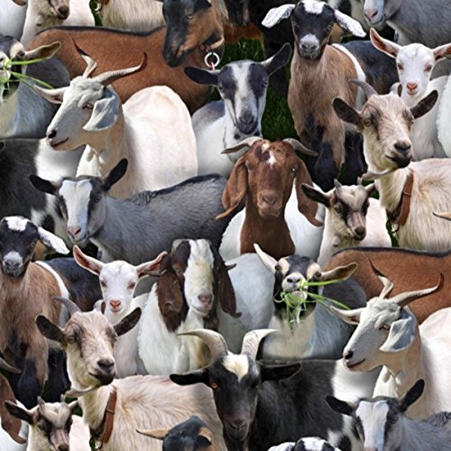 Cotton Farm Animals Goats Packed Allover Cotton Fabric Print by Th...