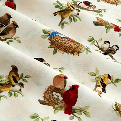 Elizabeths Studio Beautiful Birds All Over Cream Fabric by The Yard