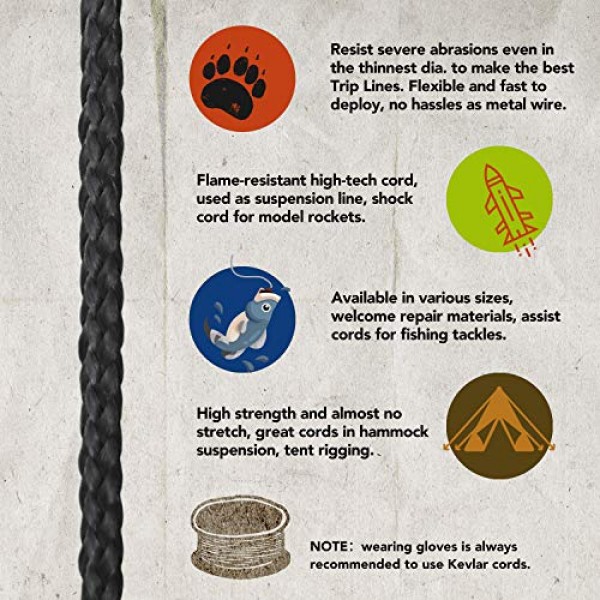 emma kites 100% Black Kevlar Braided Cord 100Ft 550Lb High Strengt...