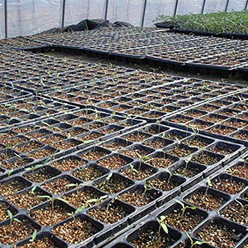 200 Cell Seedling Trays Seed Starter Tray Kit Gardening Germinatio...