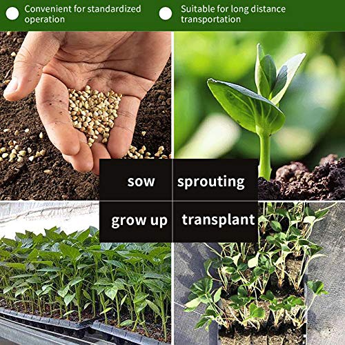 200 Cell Seedling Trays Seed Starter Tray Kit Gardening Germinatio...
