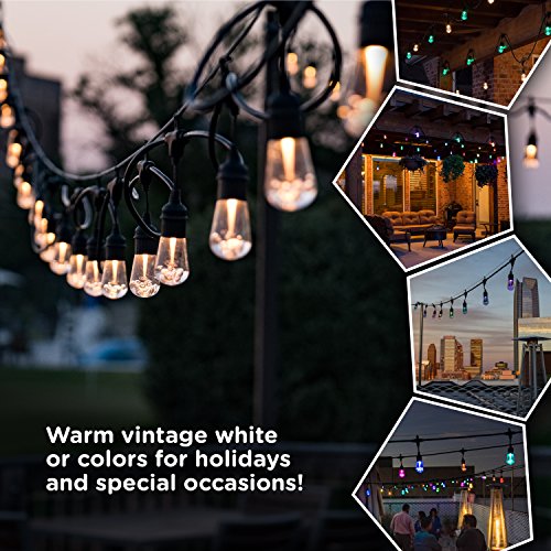 Enbrighten Vintage Seasons LED Warm White & Color Changing Café St...