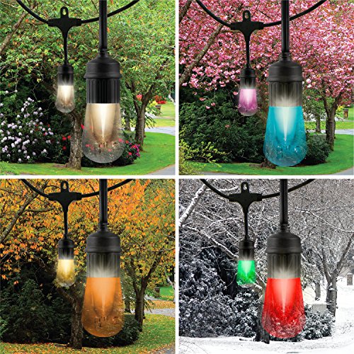Enbrighten Vintage Seasons LED Warm White & Color Changing Café St...