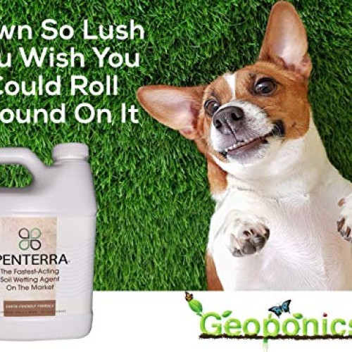 Penterra Soil Penetrant and Wetting Agent – Promotes Water Movemen...