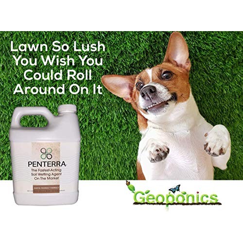 Penterra Soil Penetrant and Wetting Agent – Promotes Water Movemen...