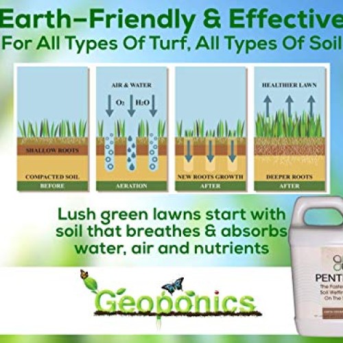 Penterra Soil Penetrant and Wetting Agent – Promotes Water Movemen...