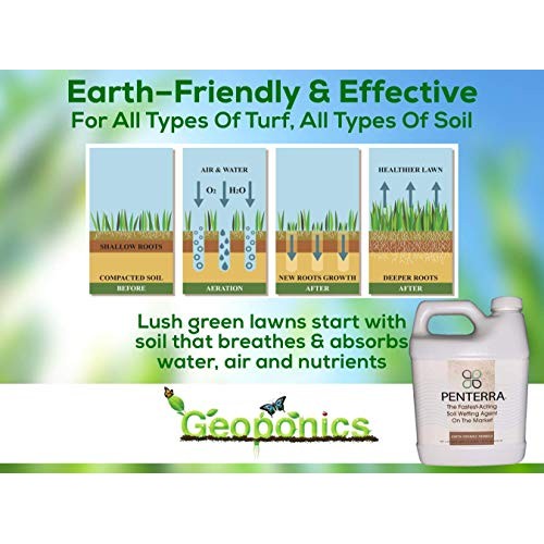 Penterra Soil Penetrant and Wetting Agent – Promotes Water Movemen...