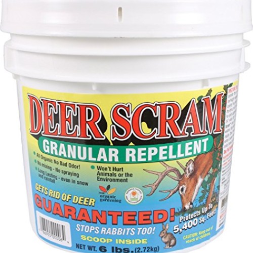 Deer Scram Granular Deer & Rabbit 6 LBS