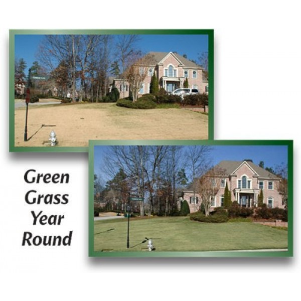 EnviroColor 1,000 Sq. Ft. 4EverGreen Grass and Turf Paint