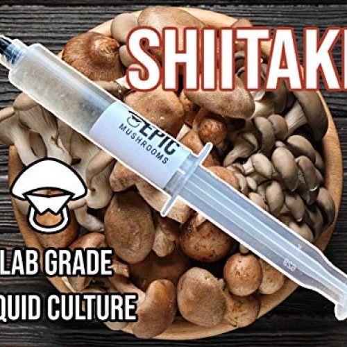 Epic Mushrooms: Lab-Grade Liquid Culture Syringe Shiitake / Lenti...