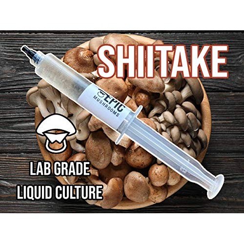 Epic Mushrooms: Lab-Grade Liquid Culture Syringe Shiitake / Lenti...