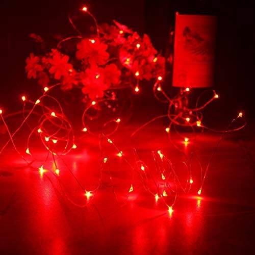 ER CHEN Battery Operated String Lights, 33ft/10M 100 LED Fairy Lig...