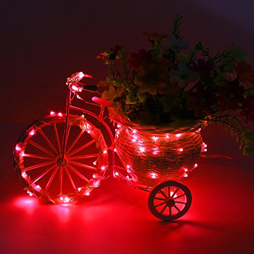ErChen Dual-Color LED String Lights, 66 FT 200 LEDs Plug in Copper...