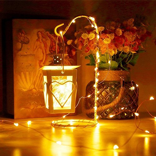 ErChen Dual-Color LED String Lights, 66 FT 200 LEDs Plug in Copper...