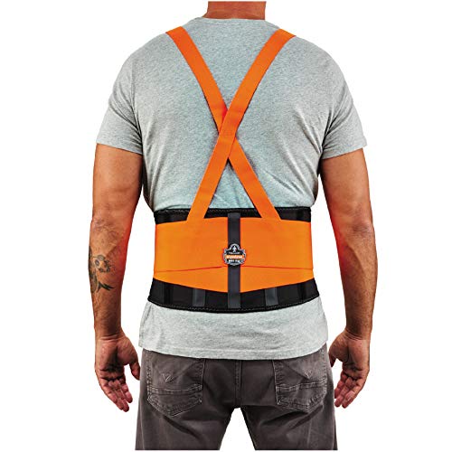 Ergodyne ProFlex 100HV Back Support Brace, High Visibility Support...