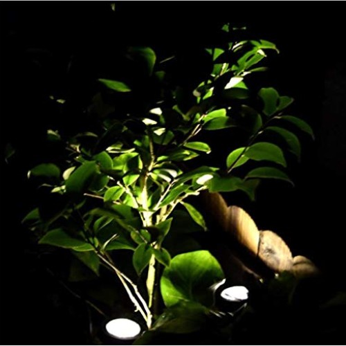 eSea Waterproof Solar Pond Lights – Single Head Solar Pool Lights ...