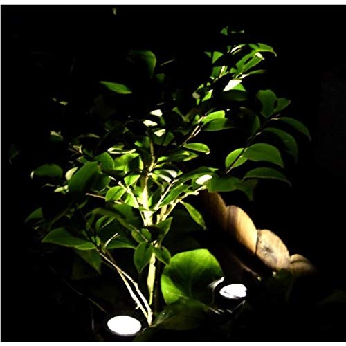 eSea Waterproof Solar Pond Lights – Single Head Solar Pool Lights ...