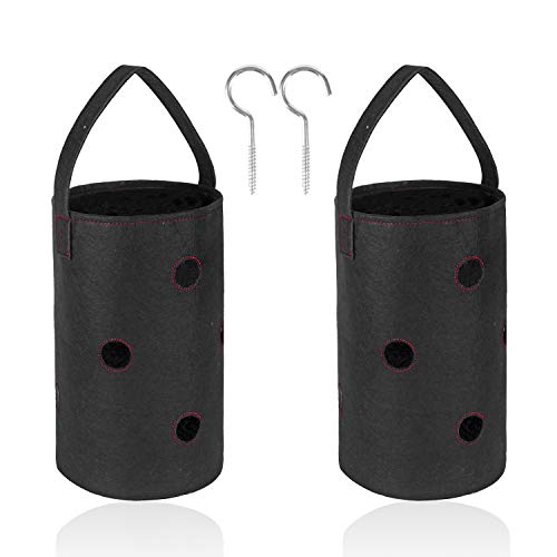 ESINGMILL 2 Pack Hanging Strawberry Planter - Strawberry Bare Root...