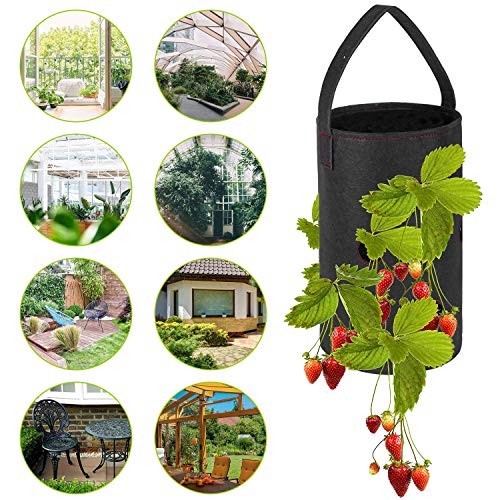 ESINGMILL 2 Pack Hanging Strawberry Planter - Strawberry Bare Root...