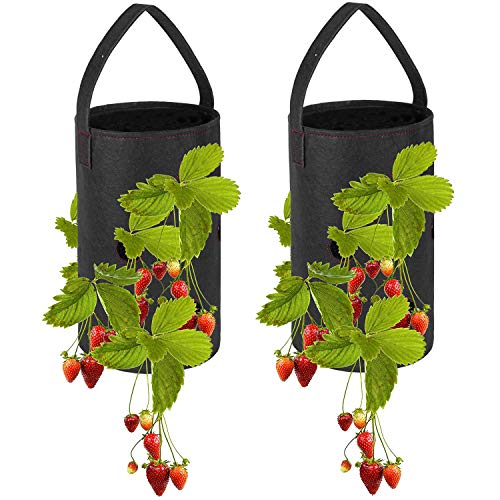 ESINGMILL 2 Pack Hanging Strawberry Planter - Strawberry Bare Root...