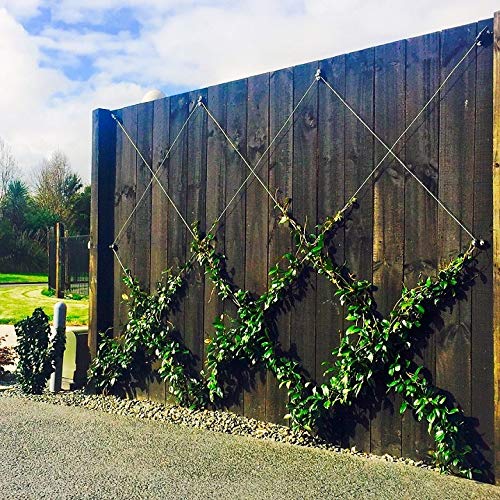 ESPALAR Surface Mounted Heavy Duty Universal Espalier/Trellis Kit ...