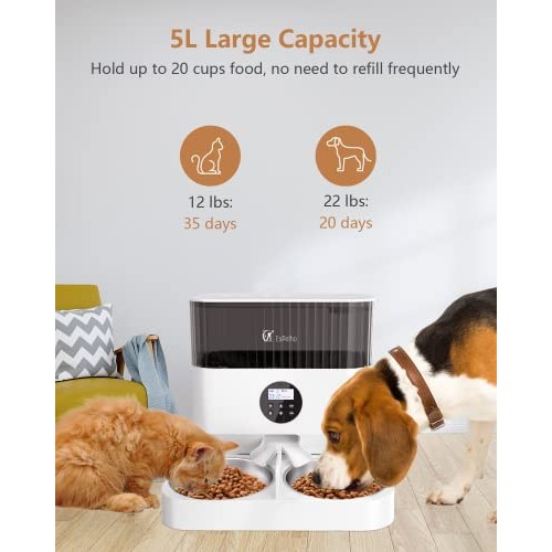 Espelho Elevated Automatic Cat Feeders for 2 Cats, 5L Timed Cat Fo...