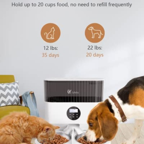 Espelho Elevated Automatic Cat Feeders for 2 Cats, 5L Timed Cat Fo...