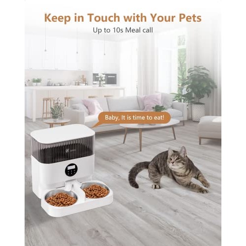 Espelho Elevated Automatic Cat Feeders for 2 Cats, 5L Timed Cat Fo...