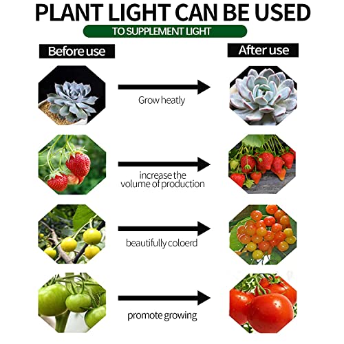 Espird Outdoor LED Grow Lights for Greenhouse Waterproof String Gr...