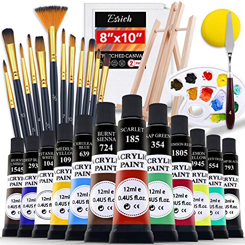 ESRICH Acrylic Paint Set,Professional Painting Supplies with Acryl...