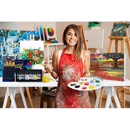 ESRICH Acrylic Paint Set,Professional Painting Supplies with Acryl...