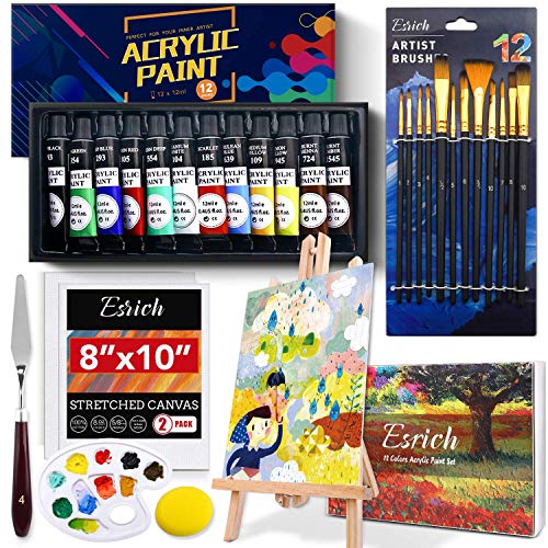 ESRICH Acrylic Paint Set,Professional Painting Supplies with Acryl...