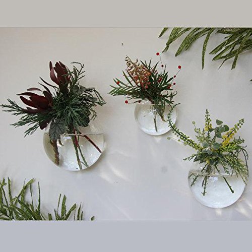 Set of 3 Wall Bubble Terrariums Indoor Plants Holders Wall Glass V...