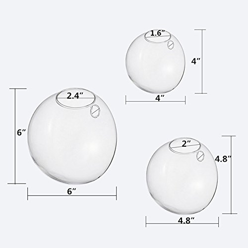 Set of 3 Wall Bubble Terrariums Indoor Plants Holders Wall Glass V...