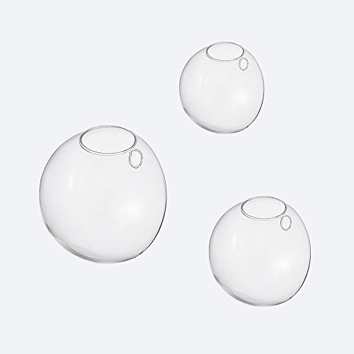 Set of 3 Wall Bubble Terrariums Indoor Plants Holders Wall Glass V...