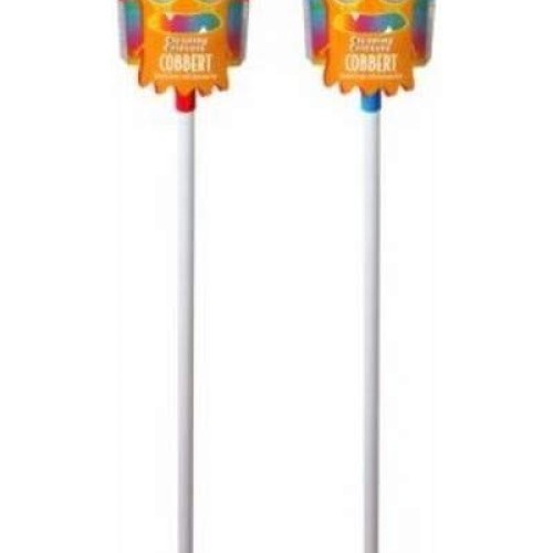 Ettore 32000 Cobbert Cobweb Duster with Extension Pole, Color May ...