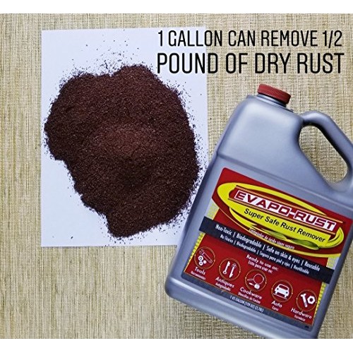 Evapo-Rust ER004 , The Original Super Safe Rust Remover, Water-bas...