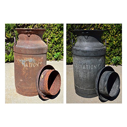 Evapo-Rust ER004 , The Original Super Safe Rust Remover, Water-bas...