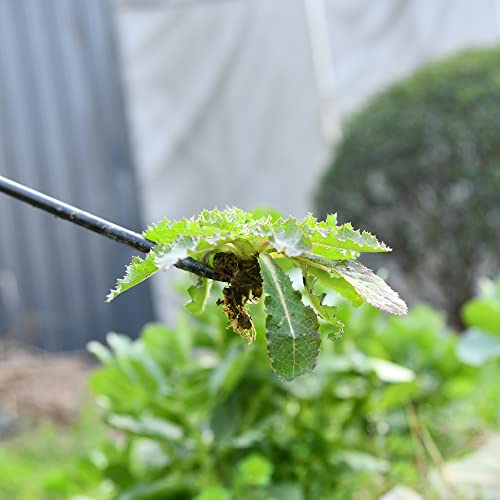 Evcitn Adjustable Hand Weeder Tool,Weed Digger Tools with 29.1-39....