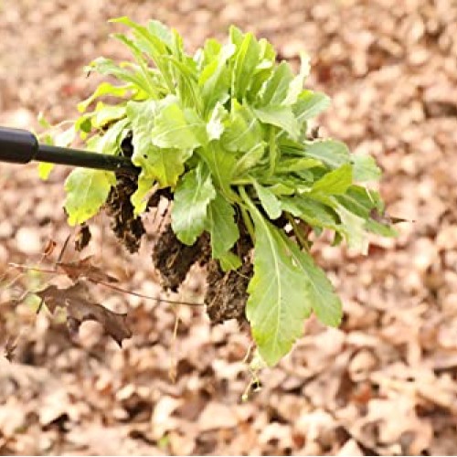 Evcitn Adjustable Hand Weeder Tool,Weed Digger Tools with 29.1-39....