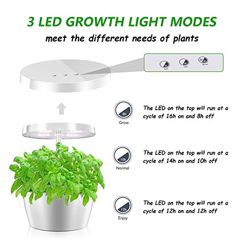 everecoo Hydroponics Growing System, Mini Indoor Herb Garden with ...