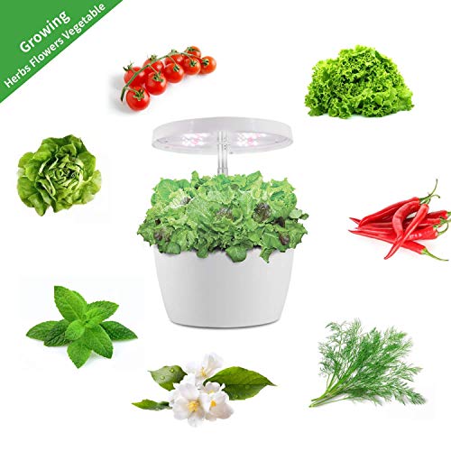 everecoo Hydroponics Growing System, Mini Indoor Herb Garden with ...