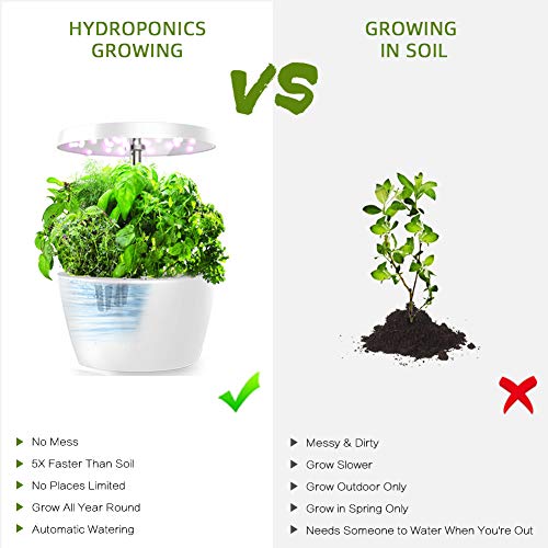 everecoo Hydroponics Growing System, Mini Indoor Herb Garden with ...