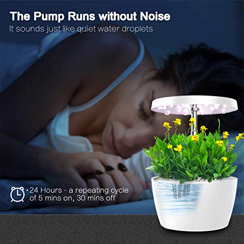 everecoo Hydroponics Growing System, Mini Indoor Herb Garden with ...