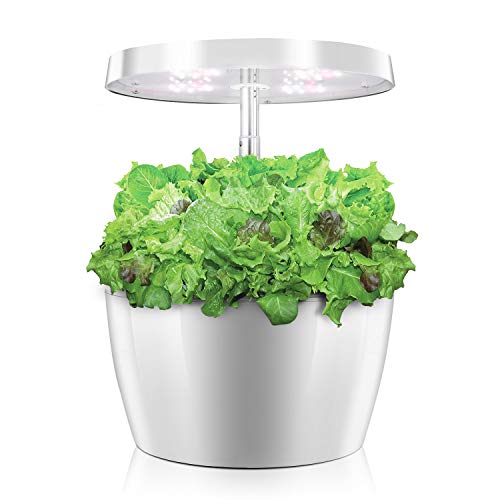 everecoo Hydroponics Growing System, Mini Indoor Herb Garden with ...