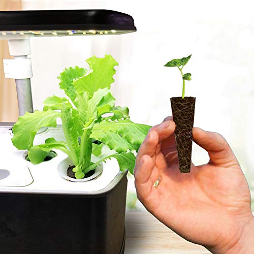 Grow Sponges, Starter Pods Compatible with Aero Garden,Refill Pods...